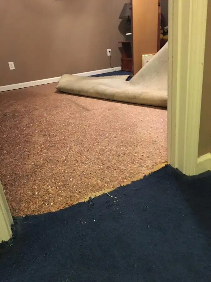 Carpet pad removal revealing water damage during Drying & Dehumidification in St. Marys